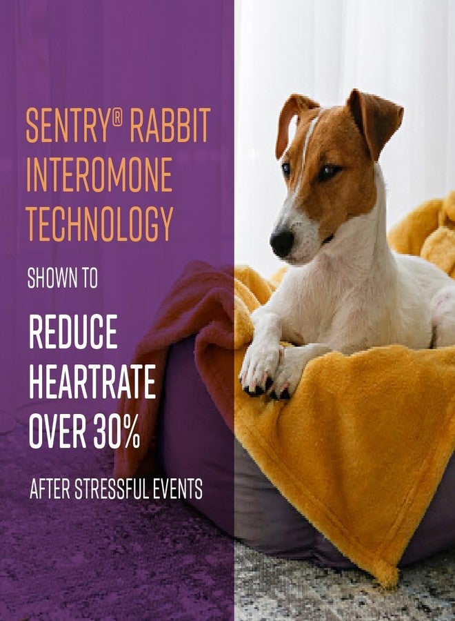 Sentry Behavior Portable Calming Diffuser for Dogs, Reduces Stress and Bad Behavior with Calming Pheromones, Easy-to-use Portable Design, 30 Day Release - Image 4